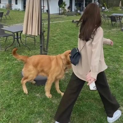 浣熊：新欧洲人